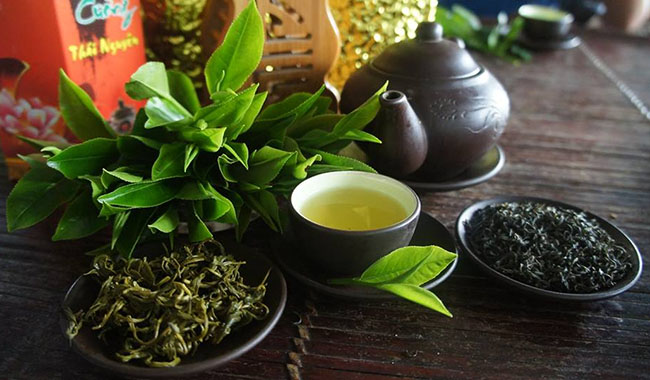 Thai Nguyen parmi les meilleures destinations mondiales pour les accros au thé